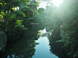 即得寺の庭園2